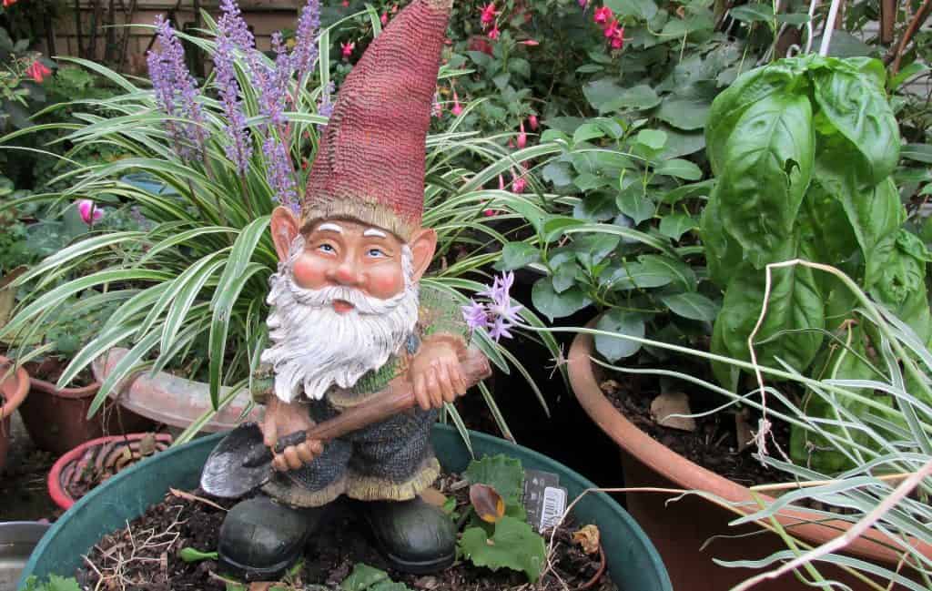 A gnome statue in a pot with plants.